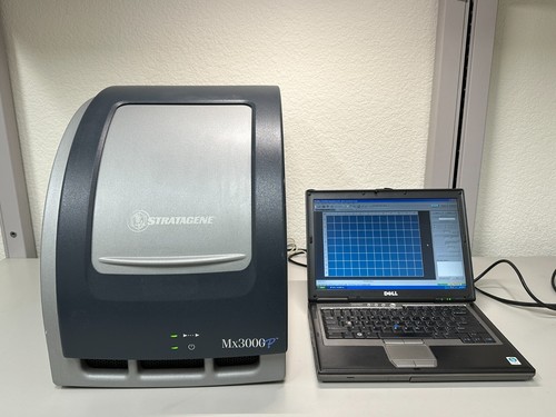 Sistema qpcr quantitativo - sistema,